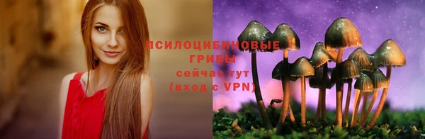 apvp Краснослободск