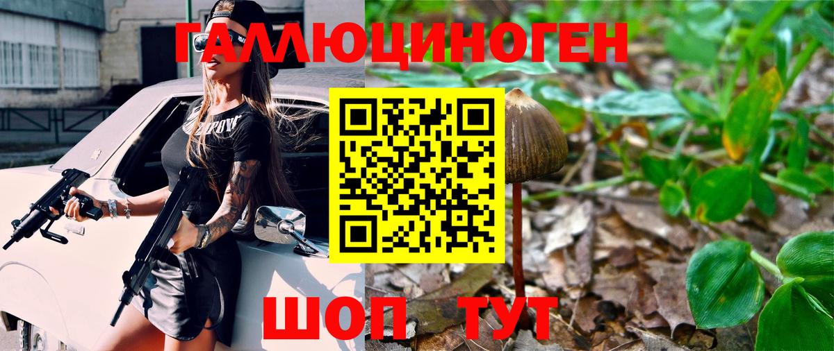 Ленинск-Кузнецкий  Псилоцибиновые грибы мицелий  Вход с VPN  Псилоцибиновые грибы прущие грибы 