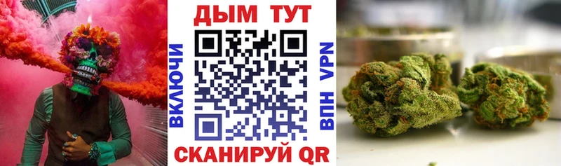 Бошки марихуана планчик Ленинск-Кузнецкий